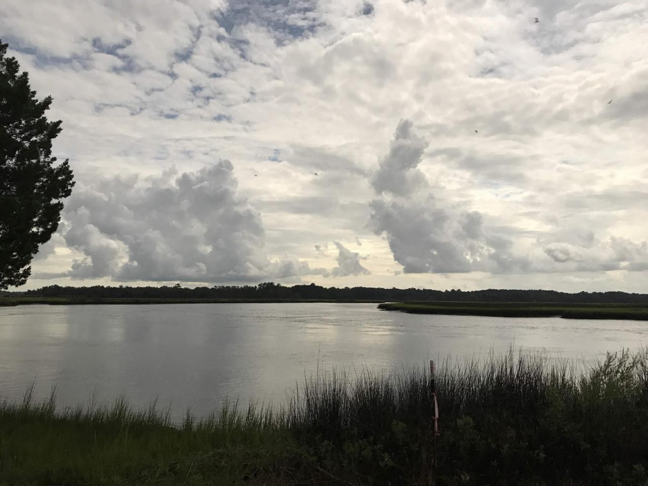 538 Lot 1 Towles Crossing - Photo 1