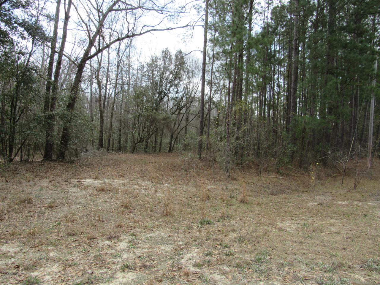 0 Nellie Place - Photo 1