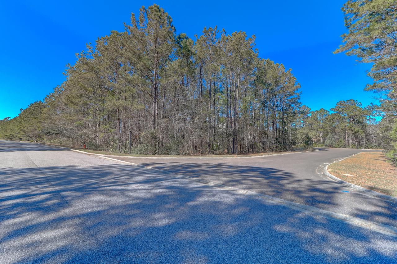 1455 Alligator Creek Court - Photo 1