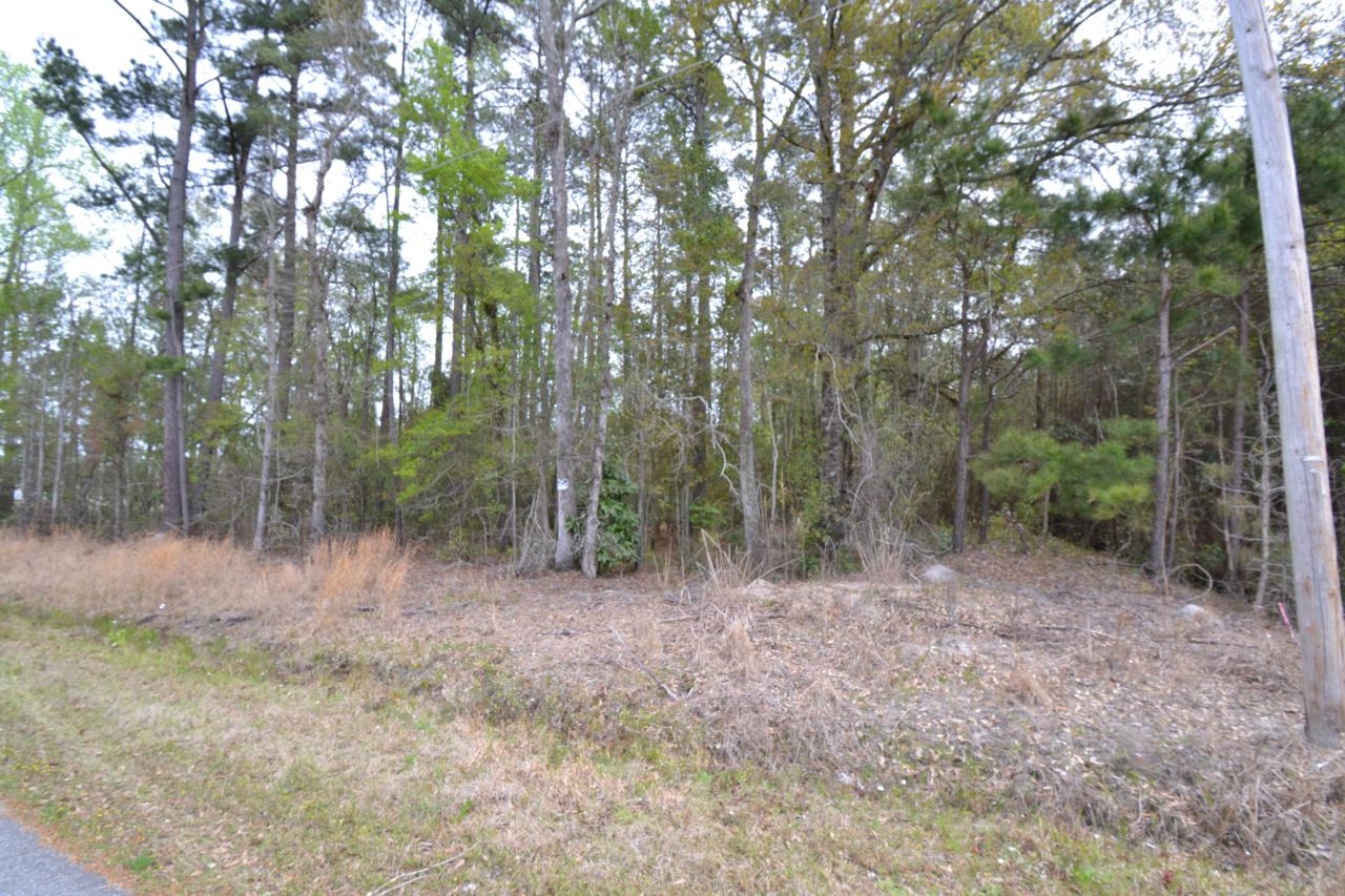 Lot 86 Charles - Photo 1