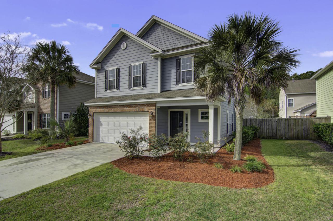 235 Nelliefield Creek Drive - Photo 1