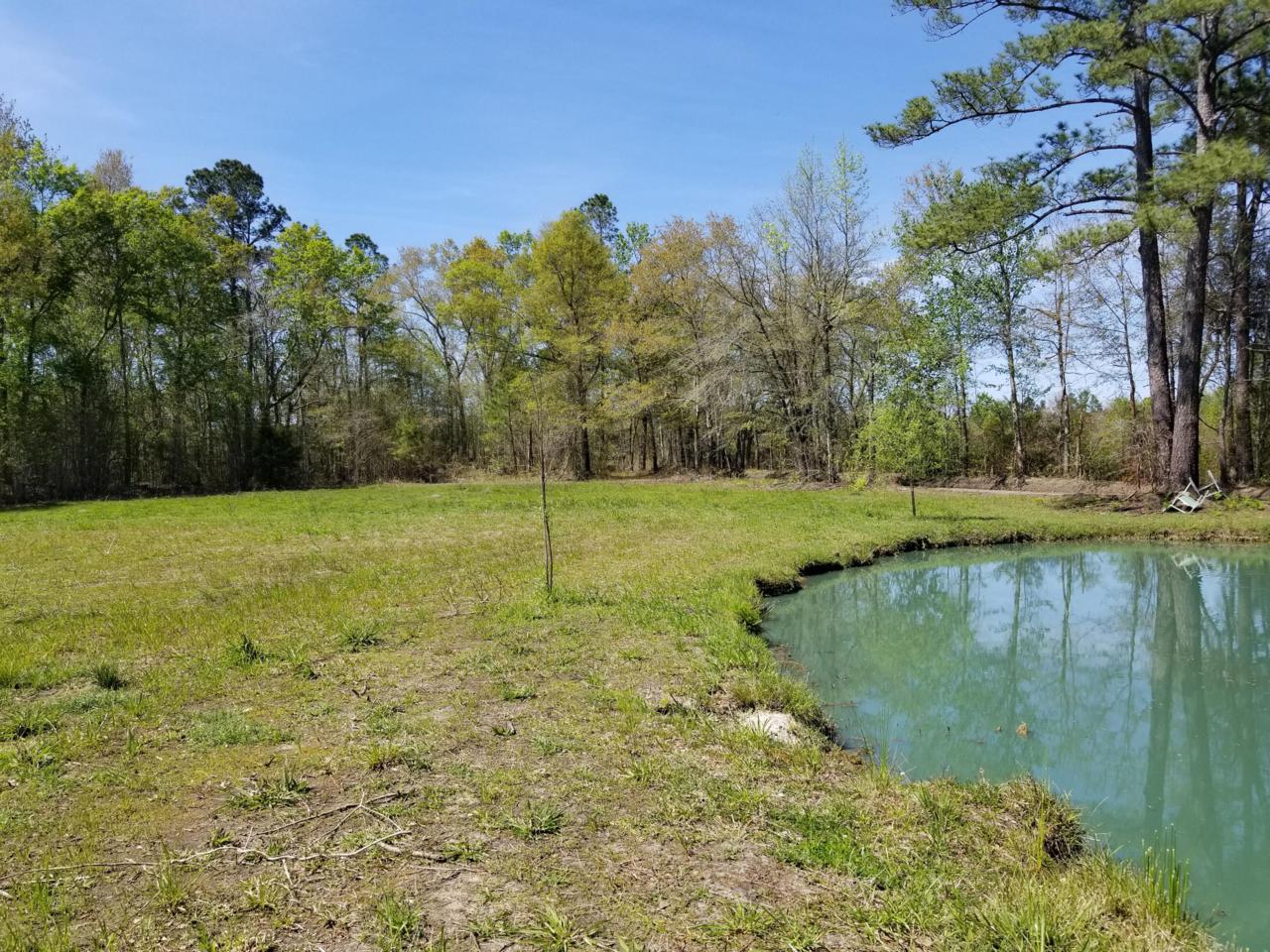 9 Alligator Lane - Photo 1