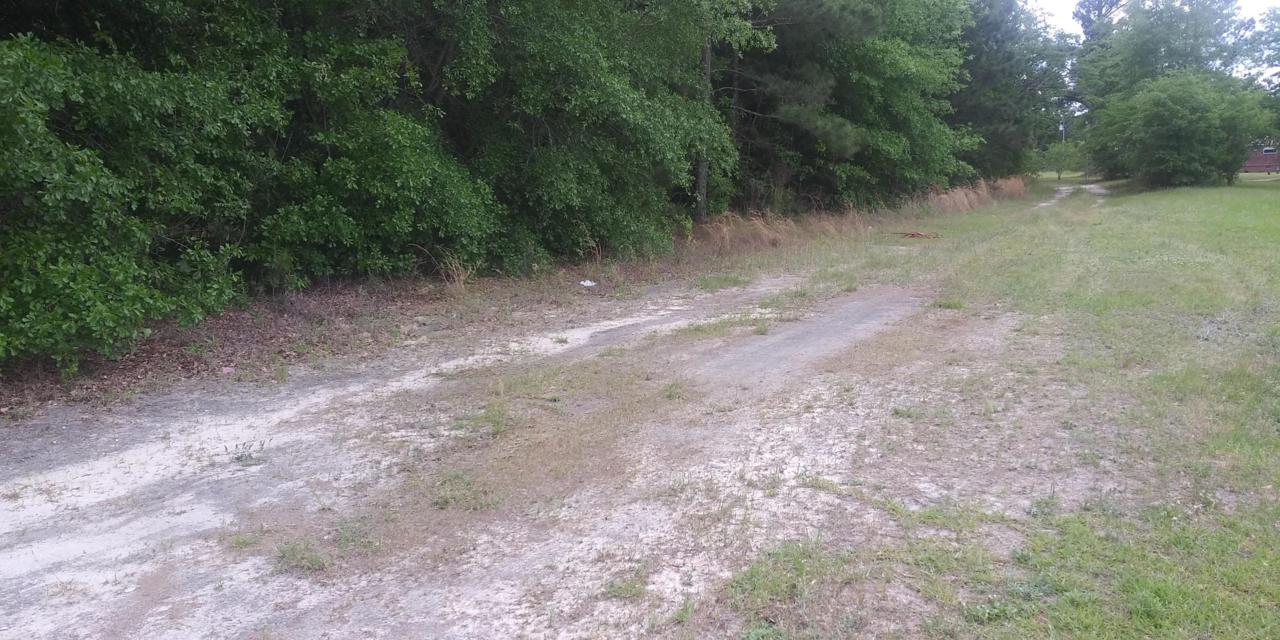 212 Spring Dell Way - Photo 1