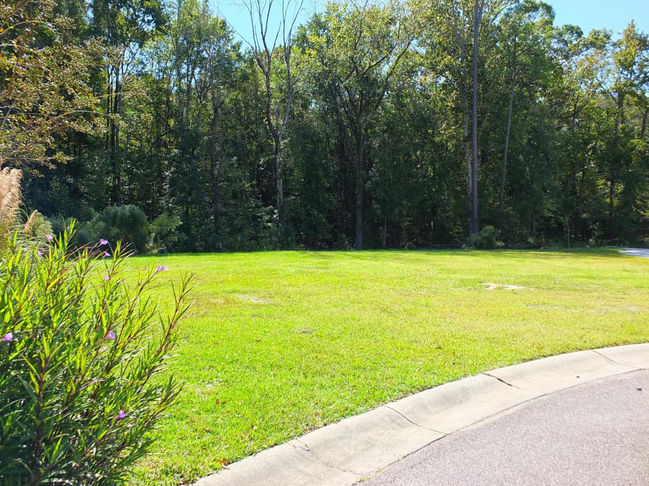 107 Aviary Court - Photo 1