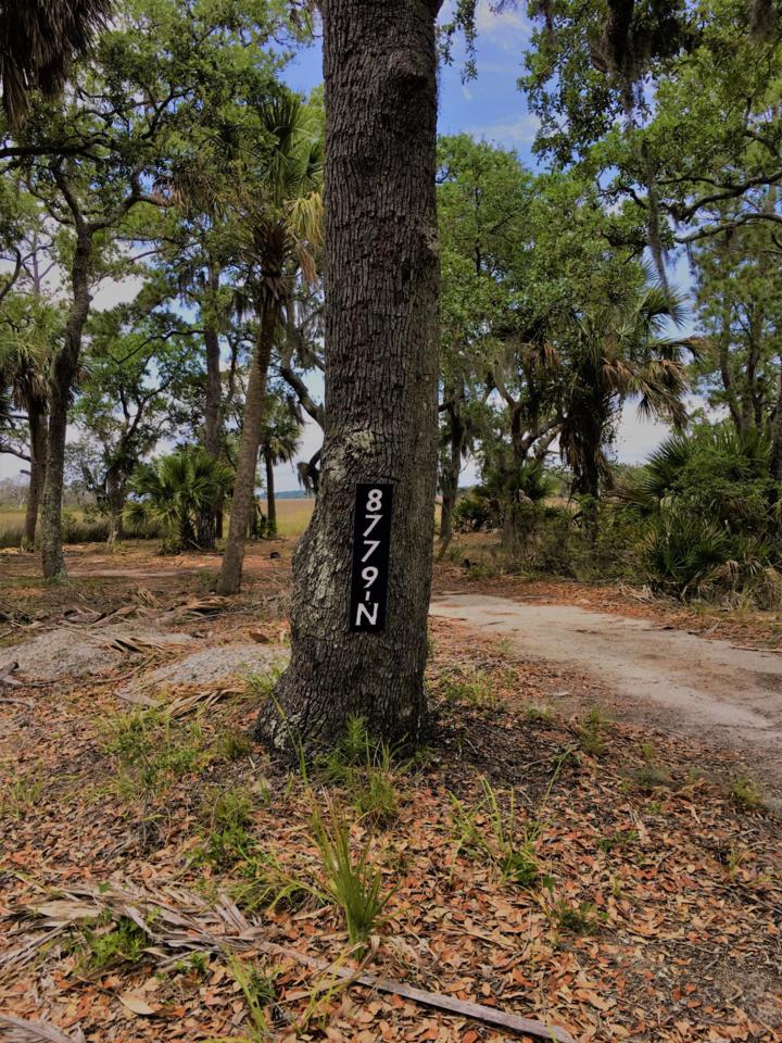 8779 Palmetto Road - Photo 1