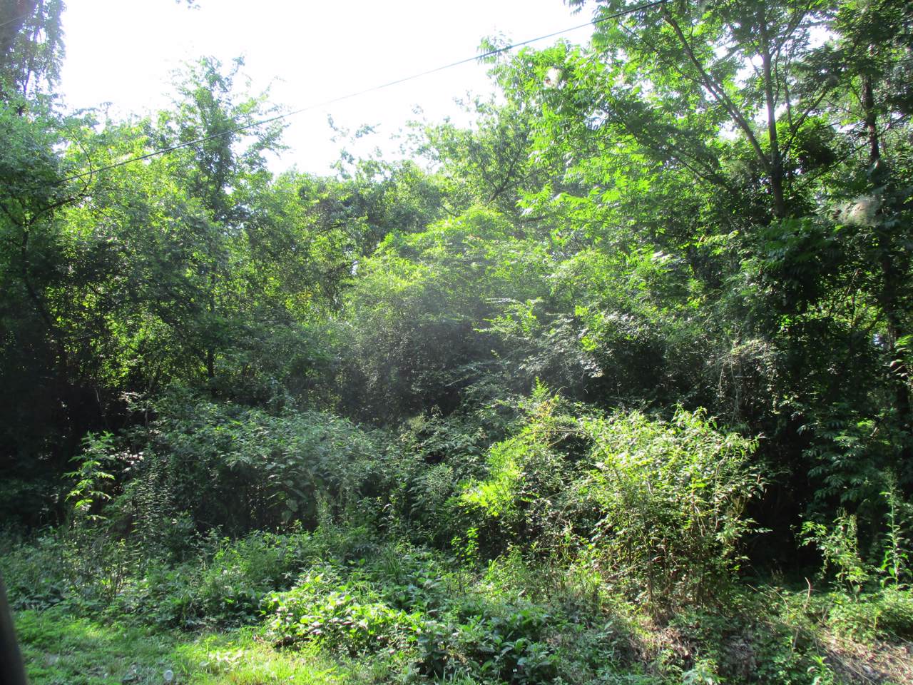 0 Germantown Road - Photo 1