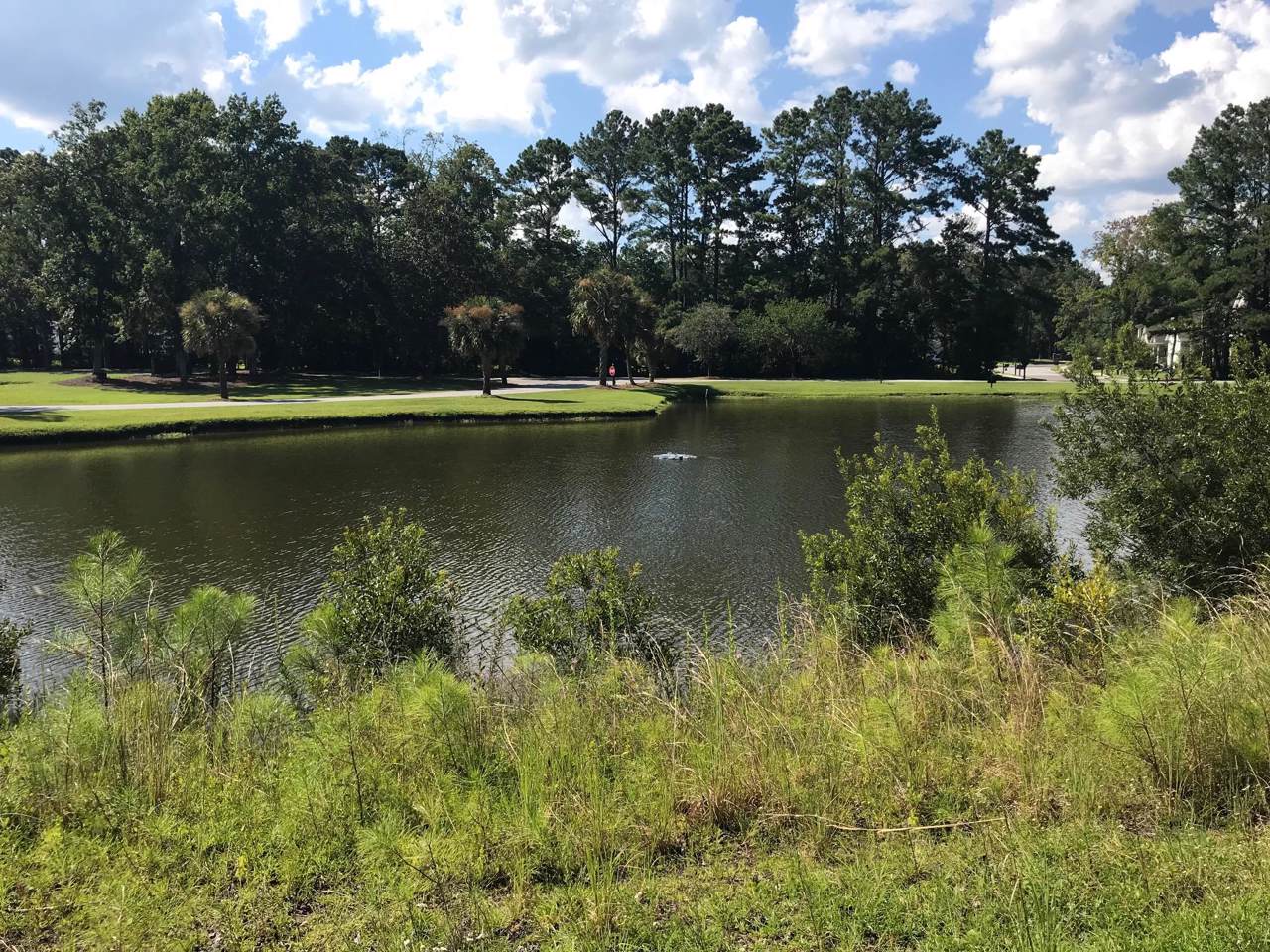4795 Stono Links Drive - Photo 1