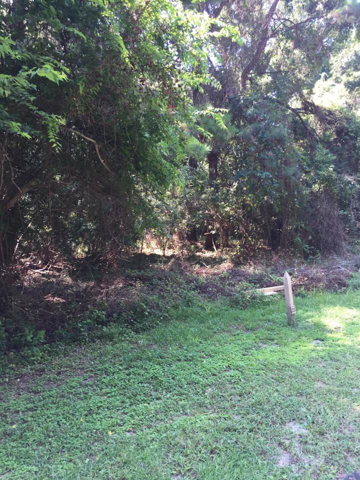 23 Longmarsh Road - Photo 1