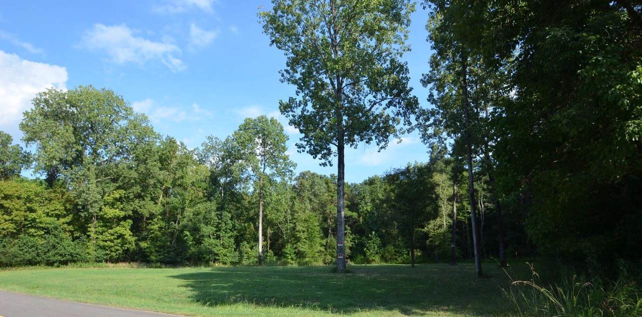 1402 Ot Wallace Boulevard - Photo 1