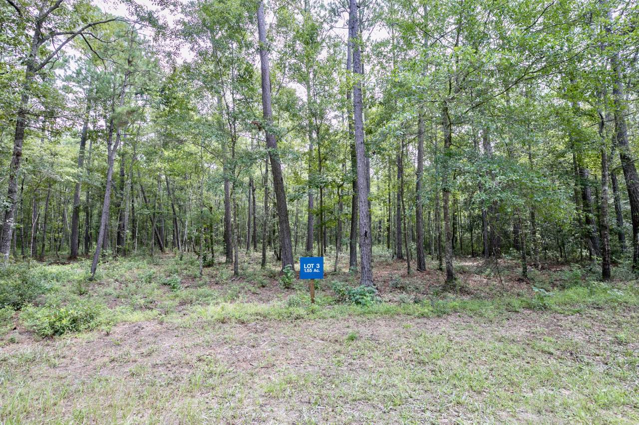 Lot 3 White Road - Photo 1