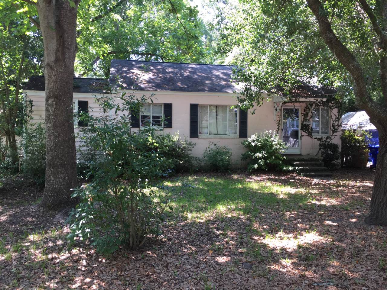 733 Adluh Street - Photo 1
