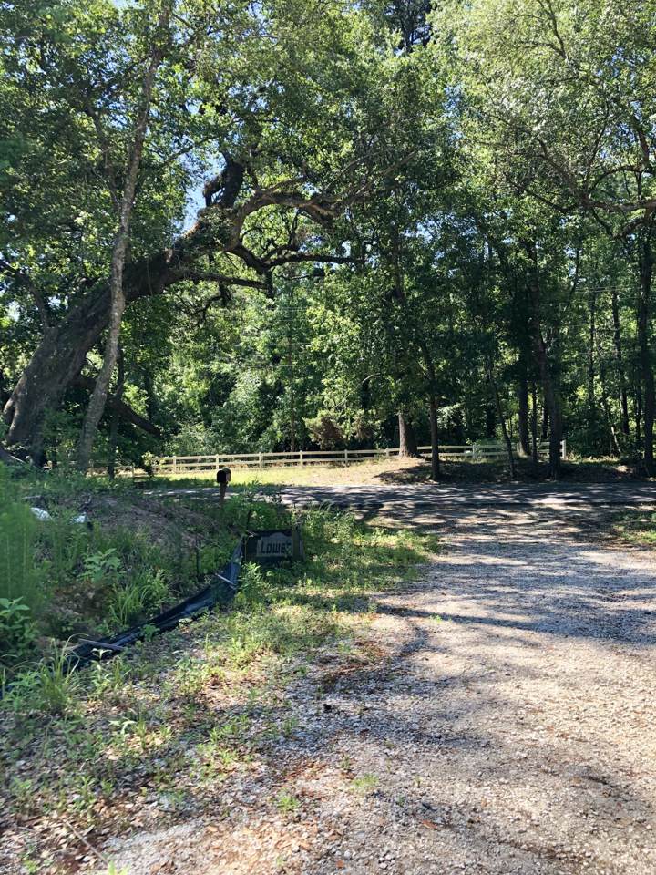 1061 Beech Hill Road - Photo 1