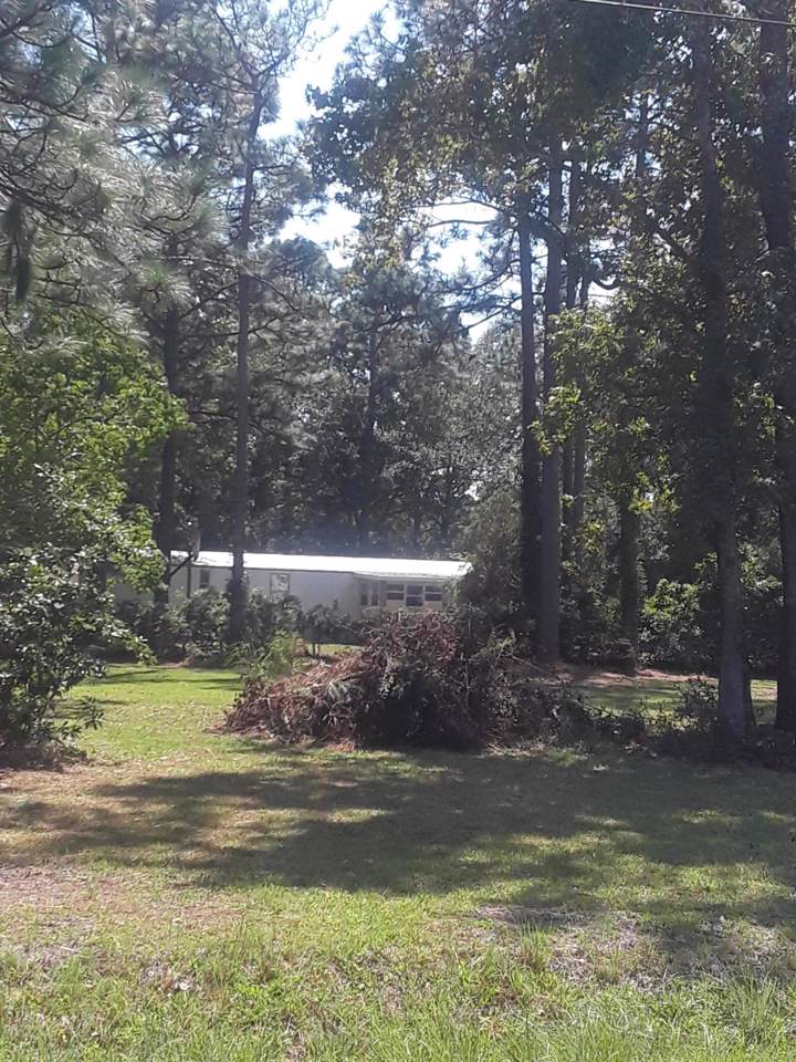 410 Grape Arbor Drive - Photo 1