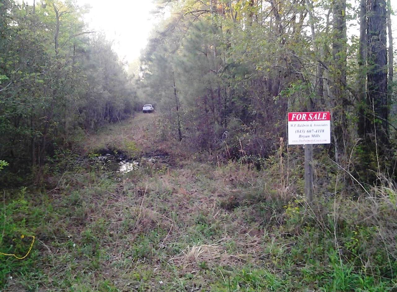 0 Ritter Road - Photo 1