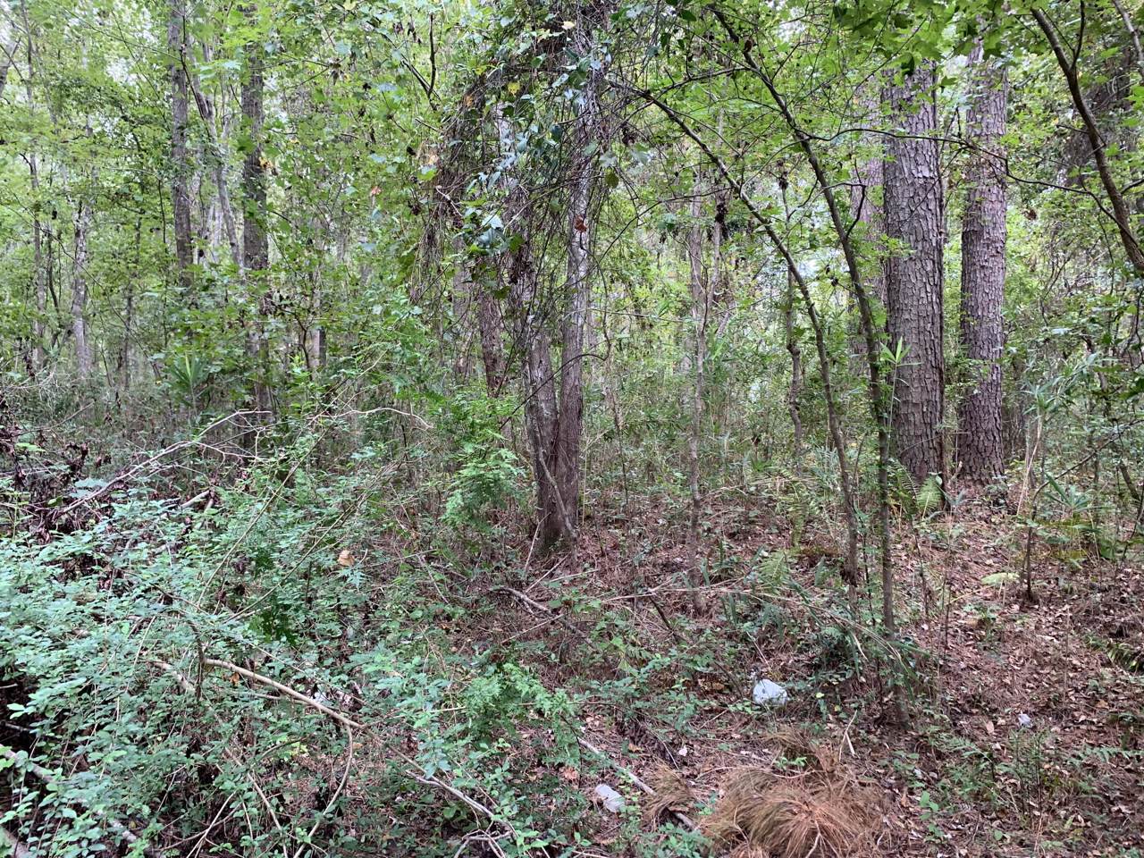 0 University Drive - Photo 1