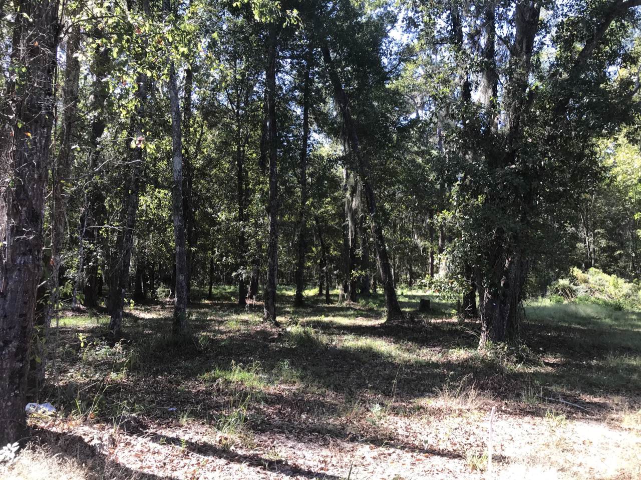 0 Stumphole Road - Photo 1