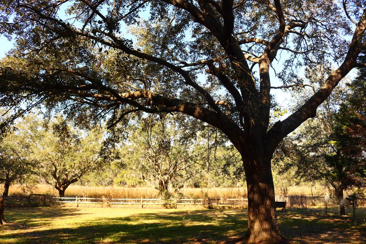 0 Avalon Circle - Photo 1