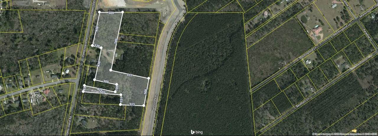 1186 Sheep Island Road Road - Photo 1