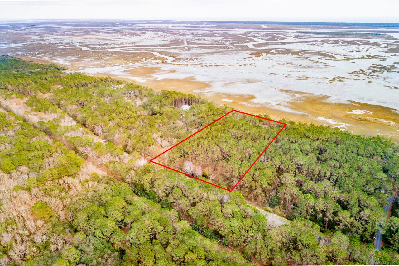 22 Longmarsh Road - Photo 1