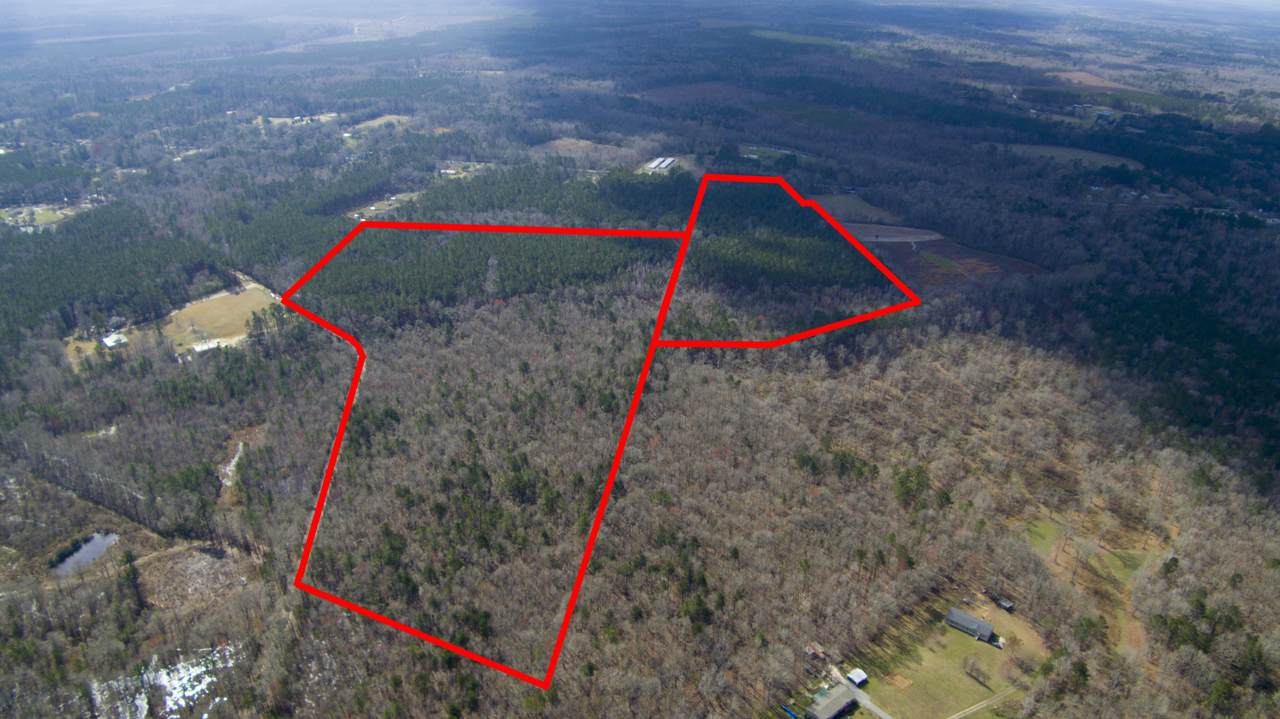 0 Cottageville Highway - Photo 1