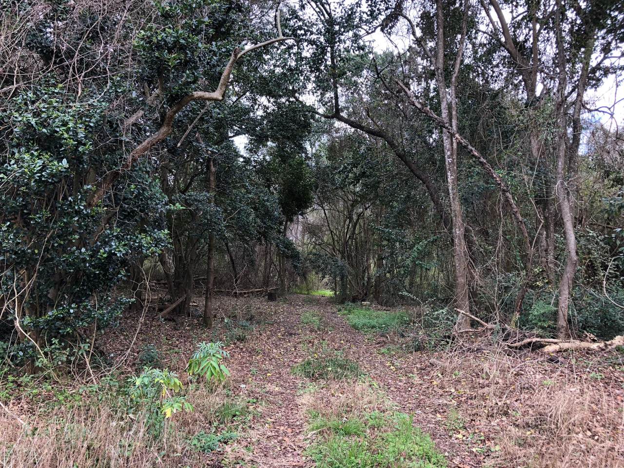 8879 Salamander Road - Photo 1