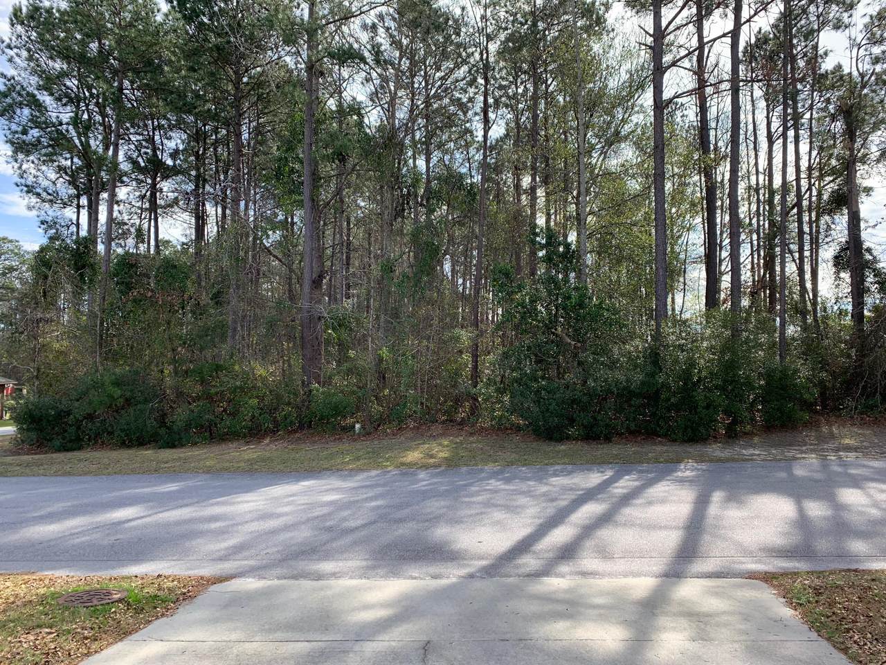 1216 Longleaf Drive - Photo 1 1216 Longleaf Drive - Photo 1