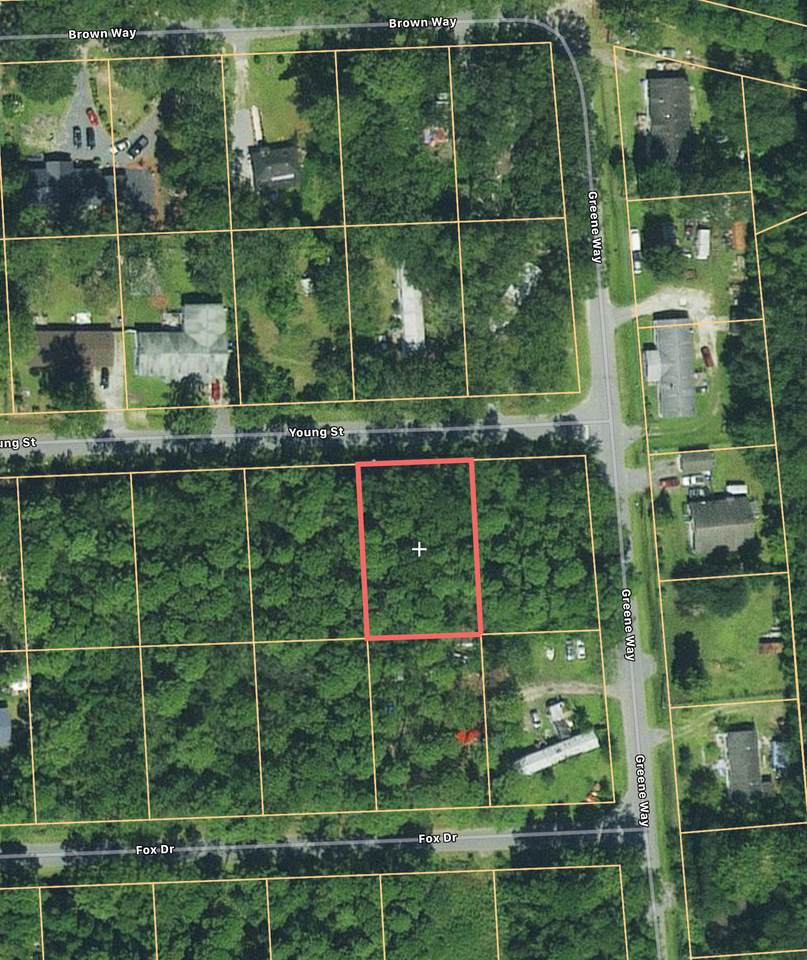 6109 Young Street - Photo 1