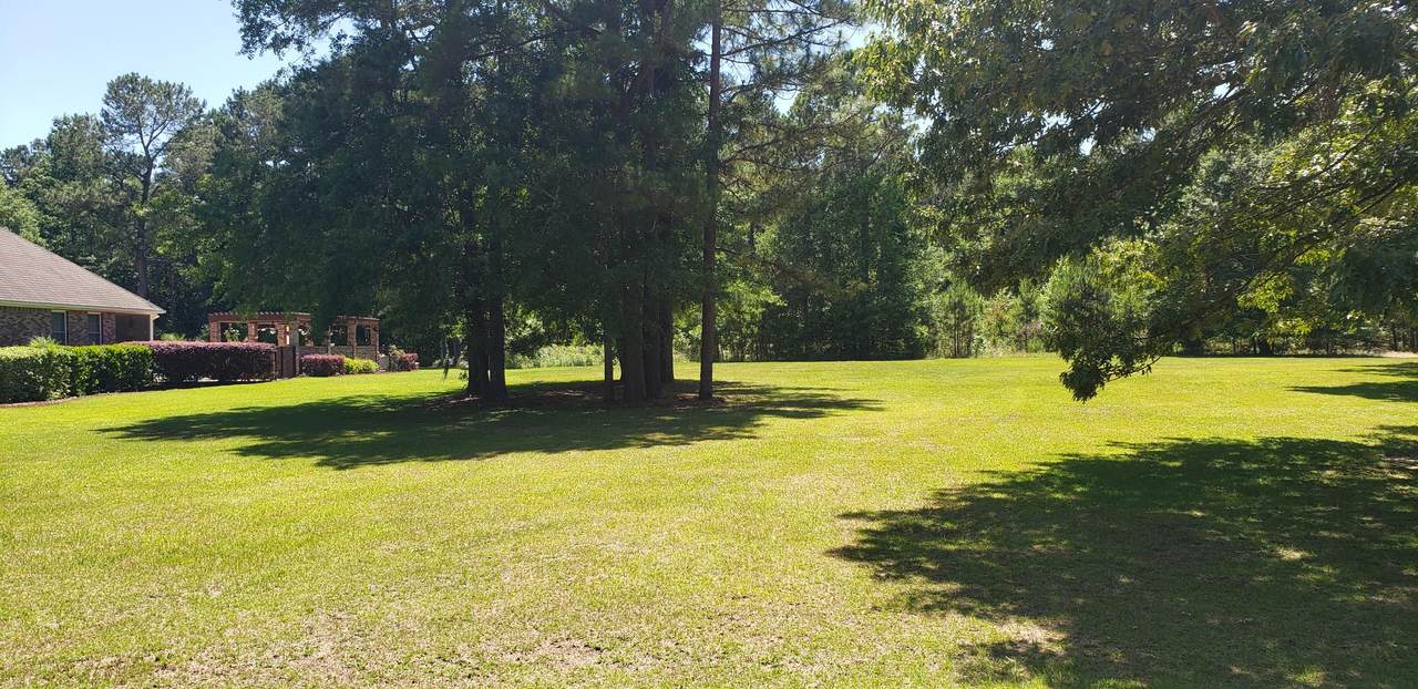 117 Wood Lake Drive - Photo 1