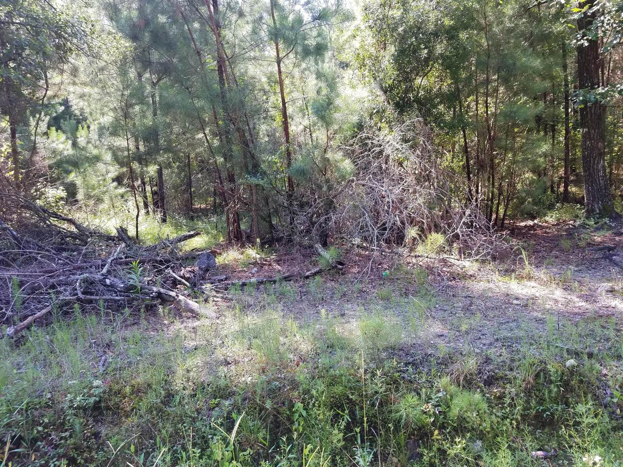 1467 Hiers Corner Road - Photo 1