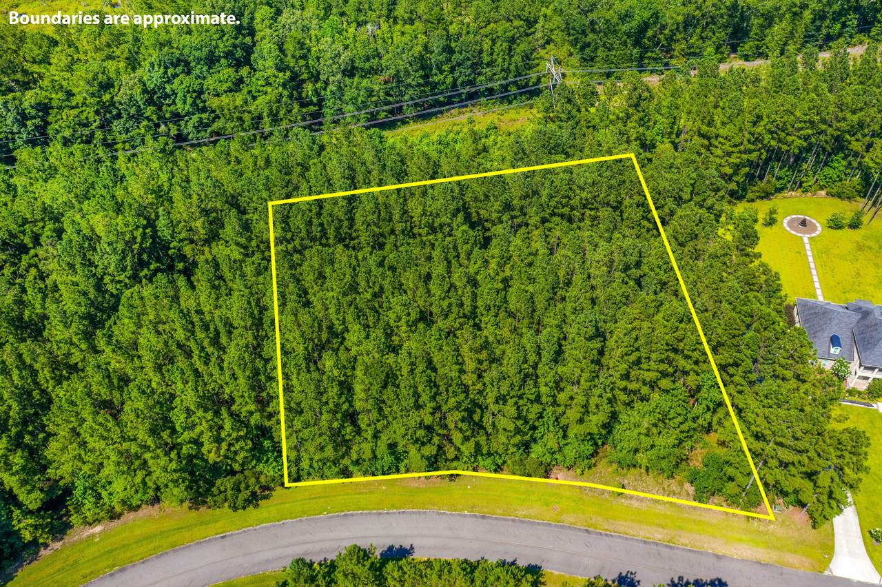 1133 Plantation Overlook Drive - Photo 1