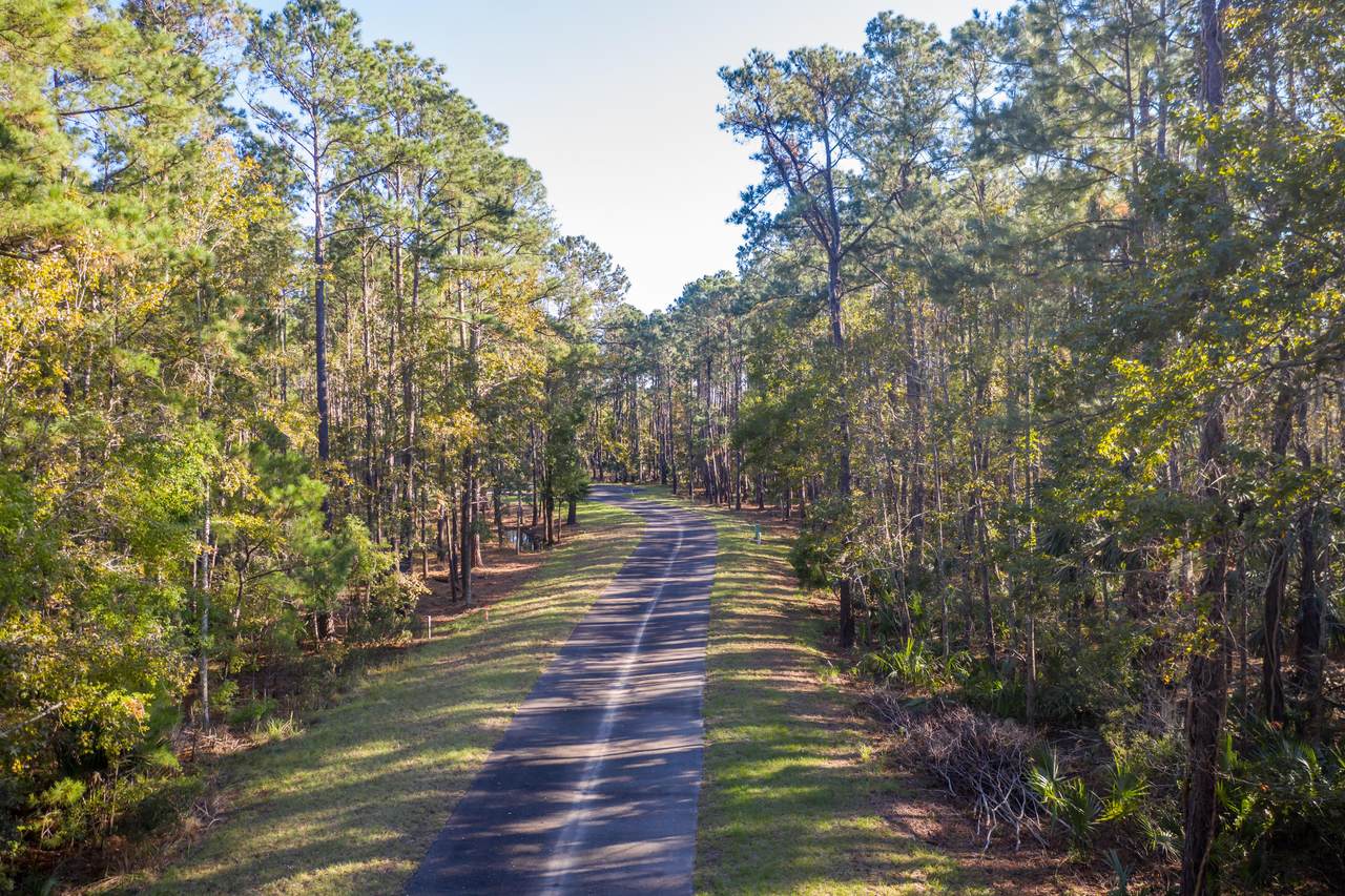 44 Nesting Egret Drive - Photo 1