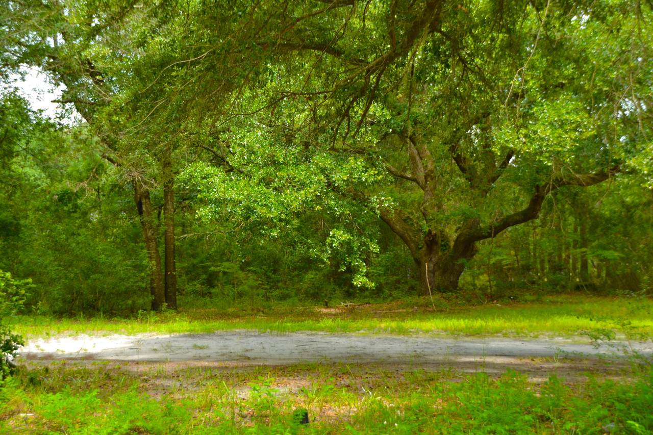 00 Scott-White Road - Photo 1