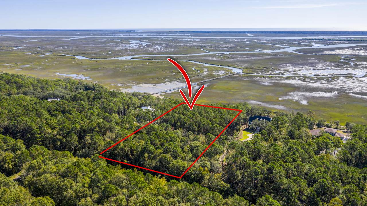 15 Longmarsh Road - Photo 1