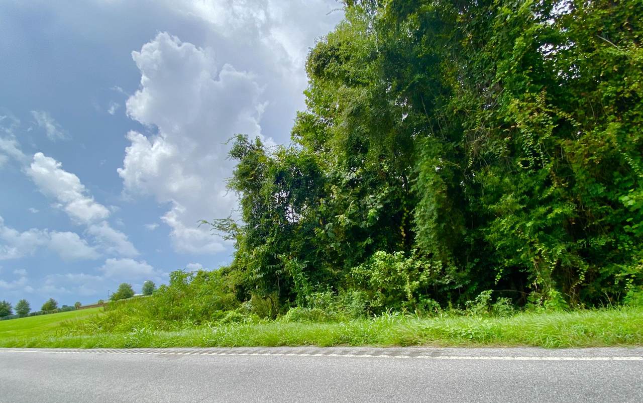 000 Tee Vee Road - Photo 1