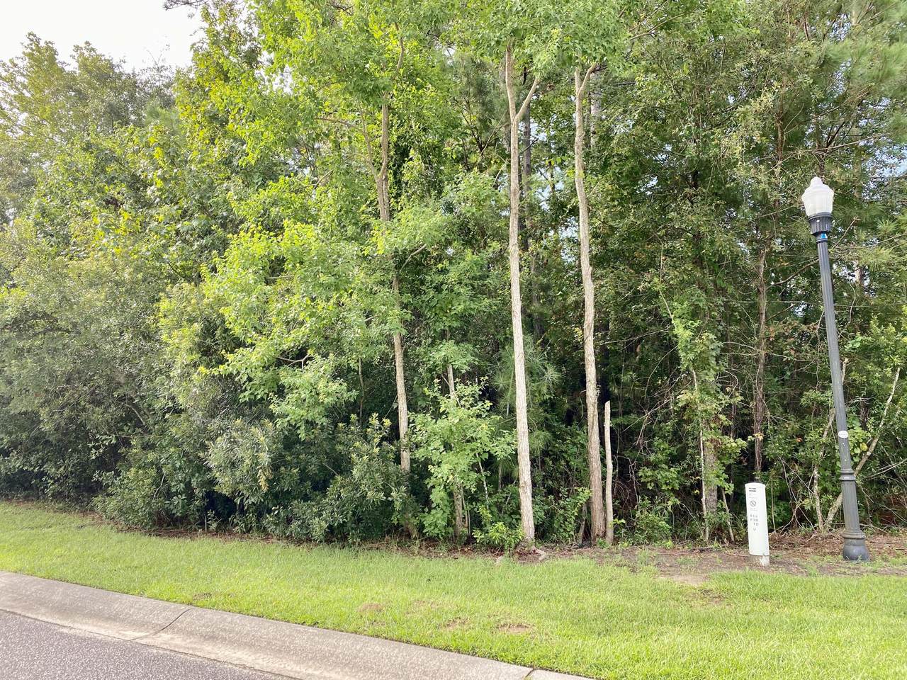 131 Wando Reach Drive - Photo 1