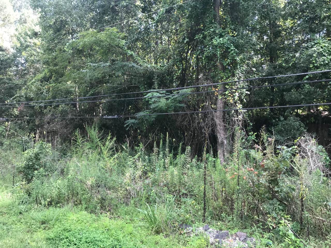 160 Madison Street - Photo 1
