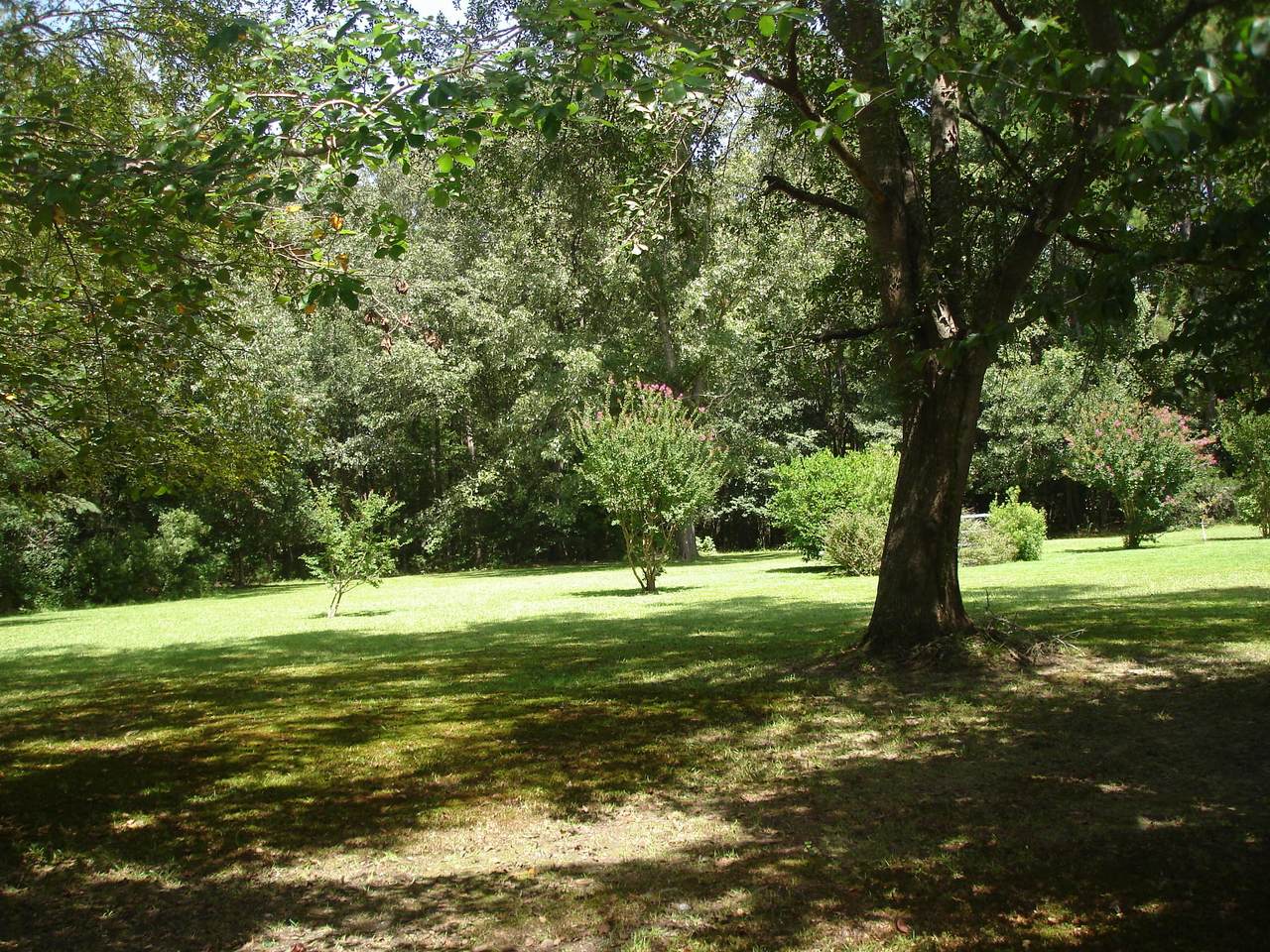 9943 Delemar Hwy. - Photo 1
