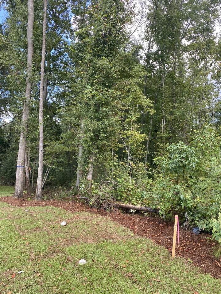 0 Sweetgum Drive - Photo 1