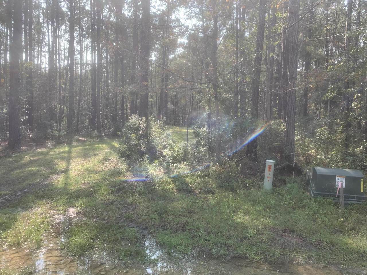 0 Bridle Gate Trail - Photo 1