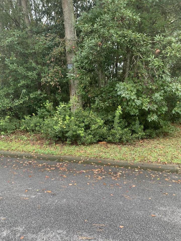 8251 Governors Walk - Photo 1