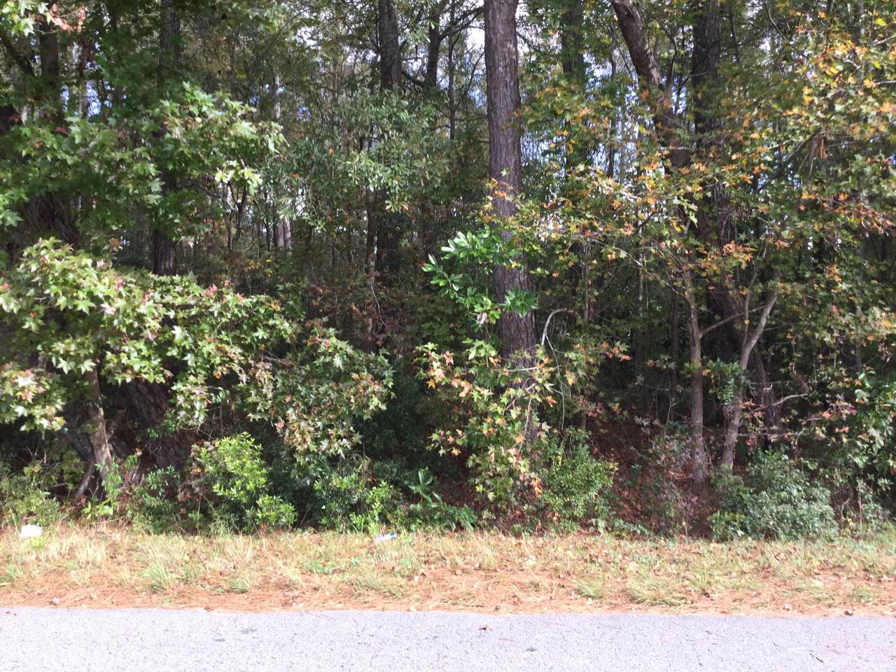 0 Haynesville Rd. Ext. - Photo 1