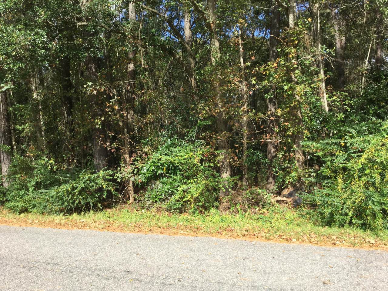 0000 Haynesville Rd. - Photo 1