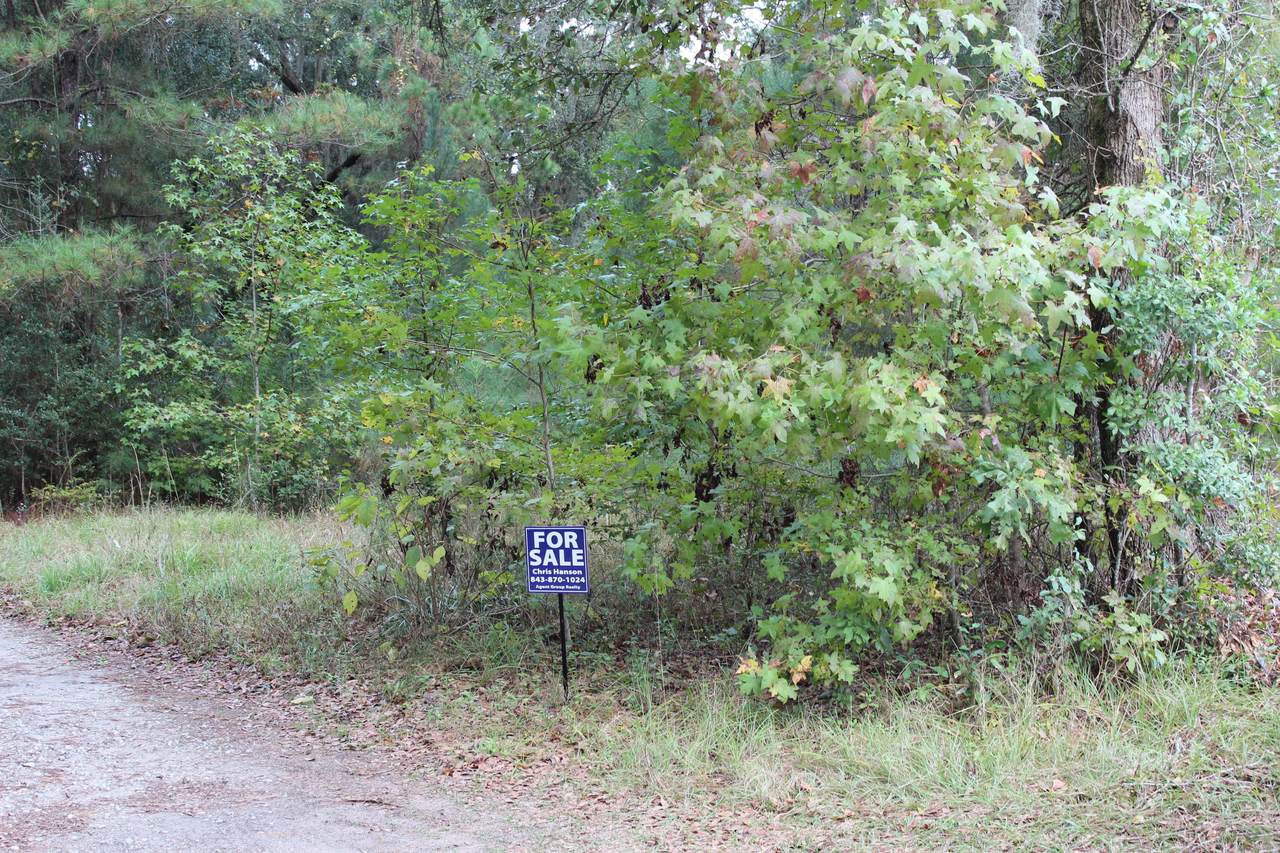 0 Turning Leaf Drive - Photo 1