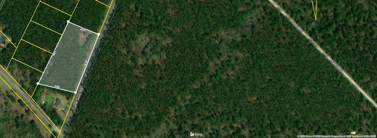 0 Cane Gully Road - Photo 1