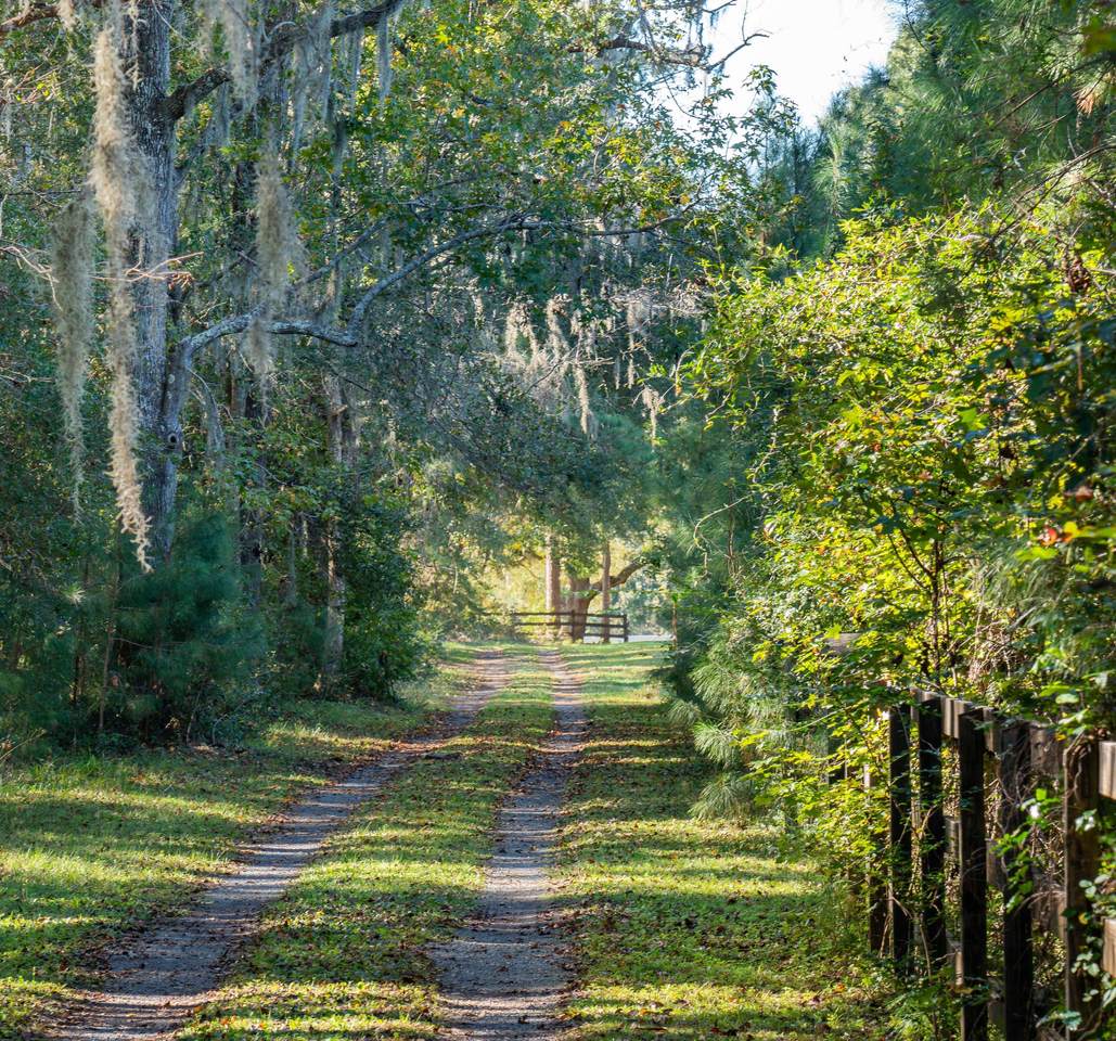 2055 Bohicket Road, Johns Island, SC 29455 (20031749) The Cassina Group