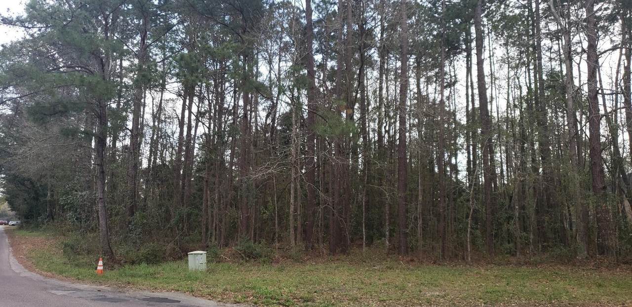 0 Edisto Drive - Photo 1