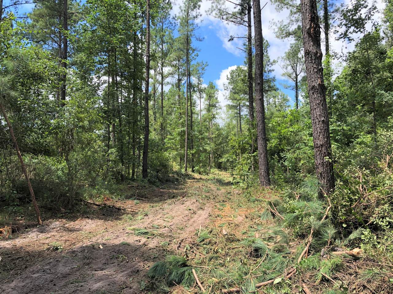 0 Calamus Pond Road - Photo 1