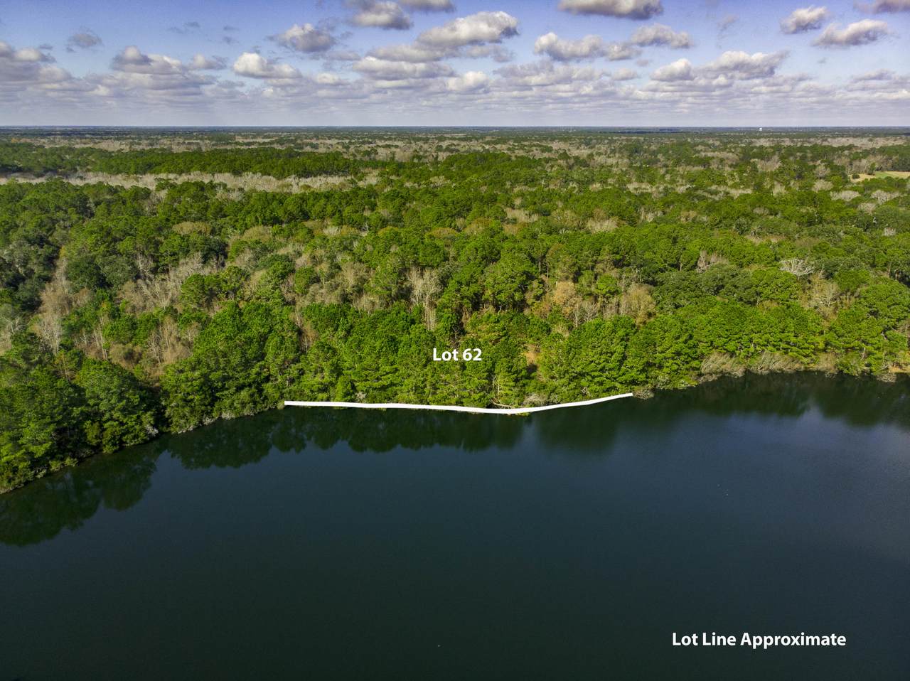4011 Gnarled Oaks Lane - Photo 1