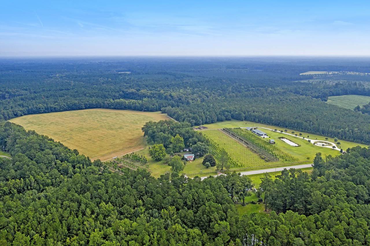 7826 Sniders Highway - Photo 1