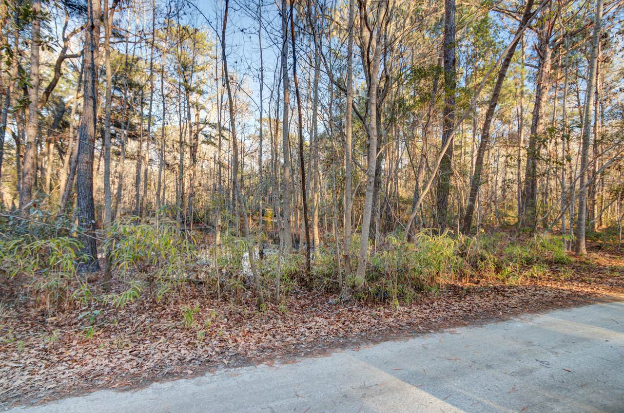 00 Corbetts Alley - Photo 1